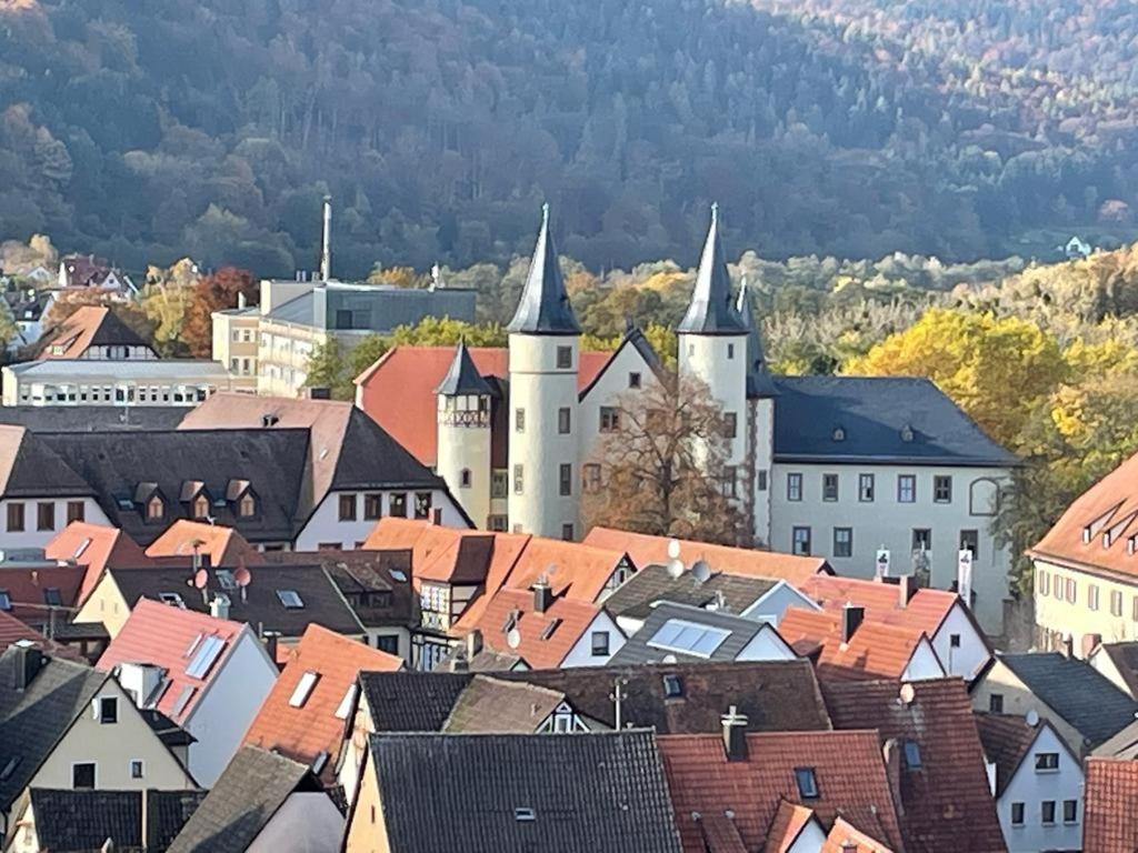 Ferienwohnung Wohnen im Springerhof Lohr Exterior foto