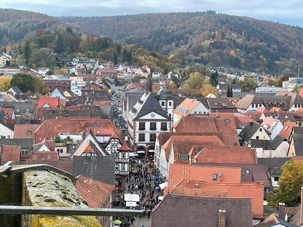 Ferienwohnung Wohnen im Springerhof Lohr Exterior foto